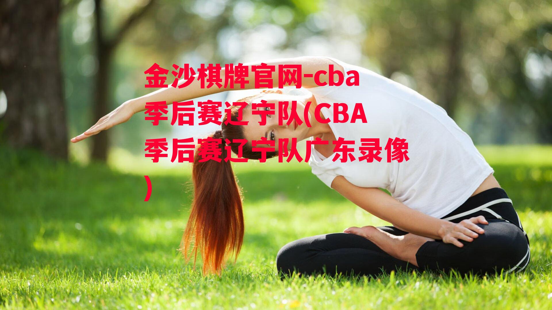 cba季后赛辽宁队(CBA季后赛辽宁队广东录像)