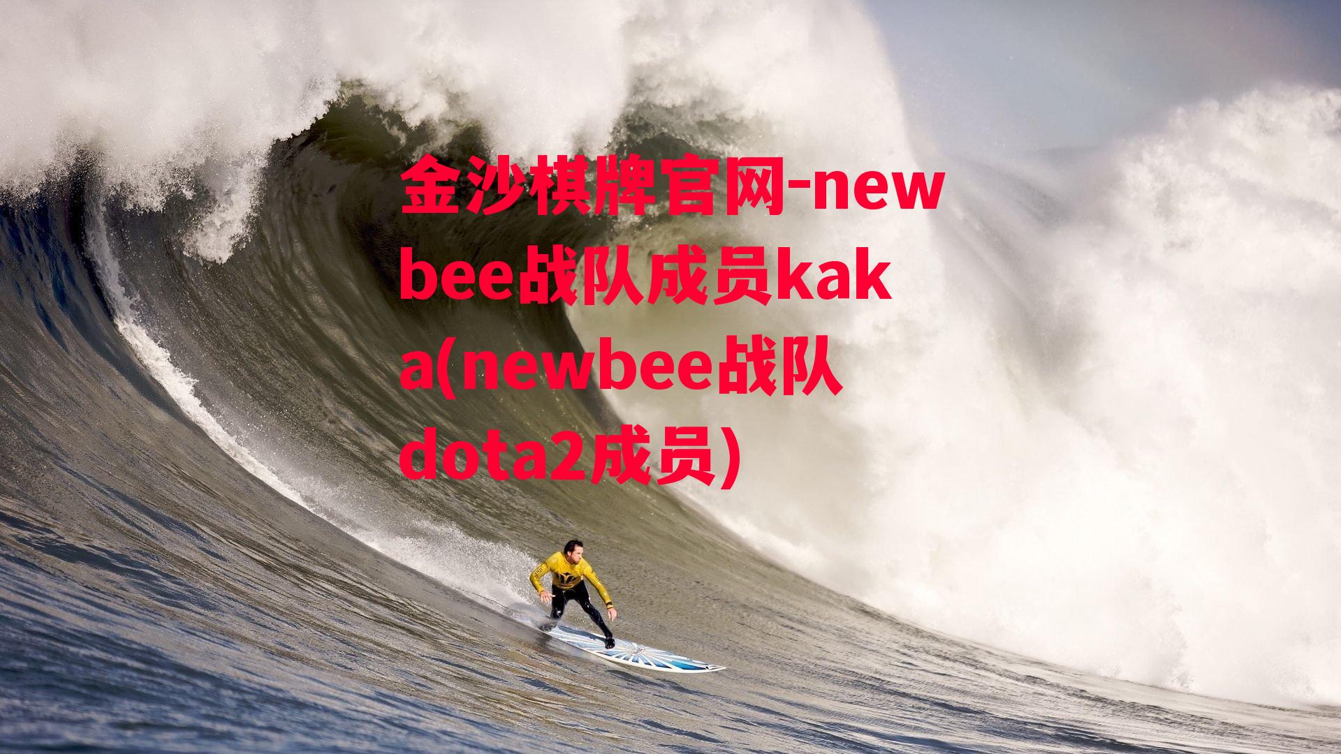 newbee战队成员kaka(newbee战队dota2成员)